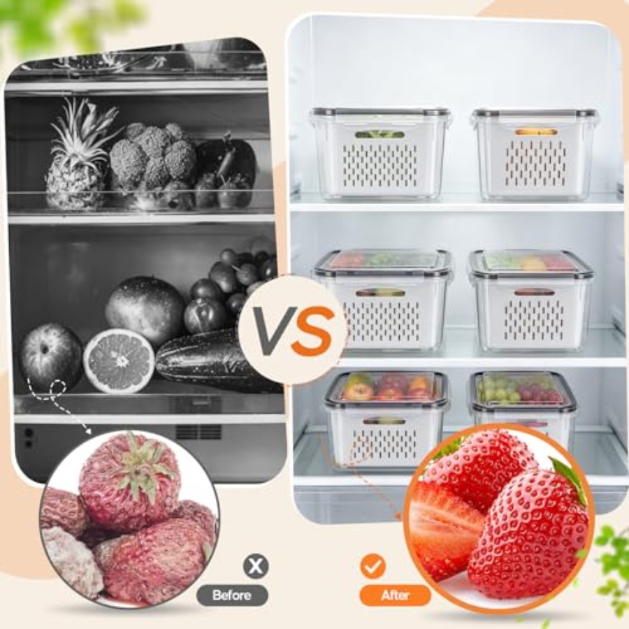 Fruit Storage Containers for F - Food Storage Containers review and price